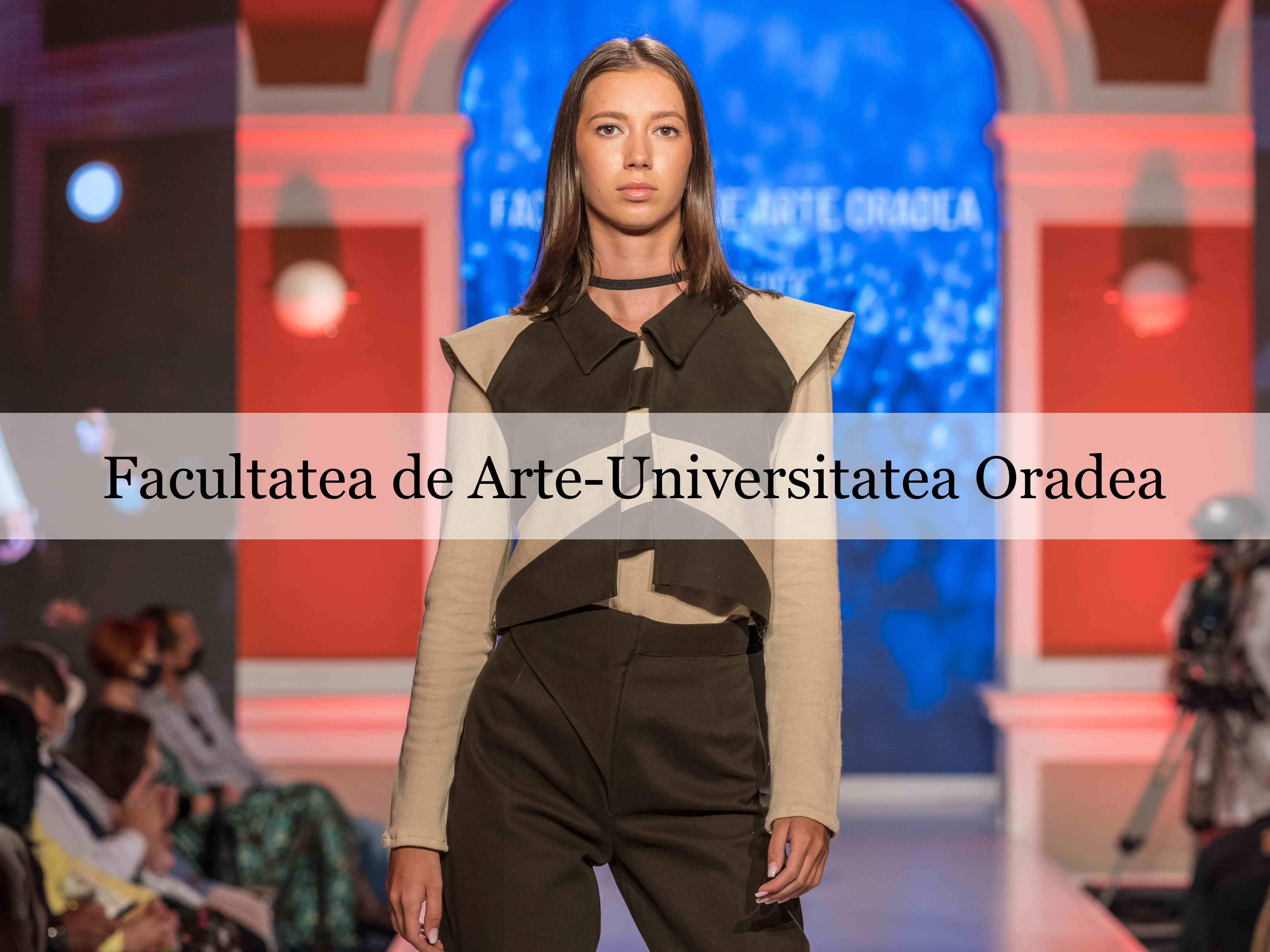 Facultatea de Arte Oradea 11zon